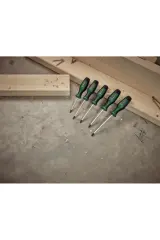 Bosch 1600A02BX6 Torx Tornavida Seti 5 Parça